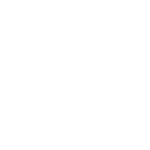 meet our team